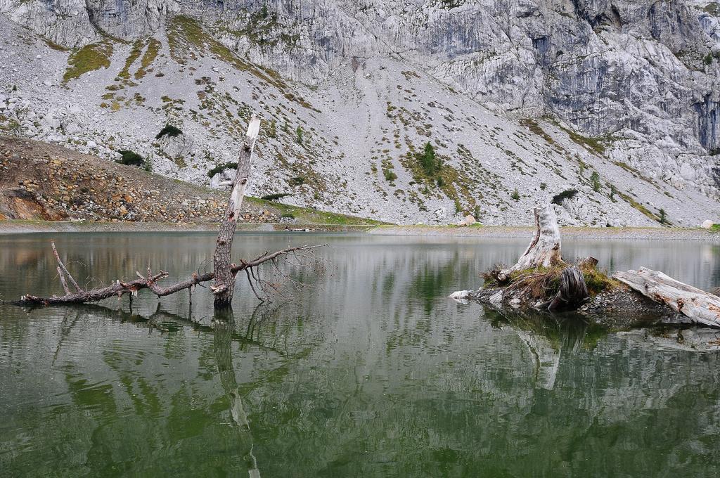 Alpenhaeuser Marcius Зоненалпе Насфелд Екстериор снимка